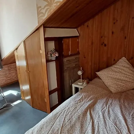 Duplex Montsouris Paris14 Apartament *